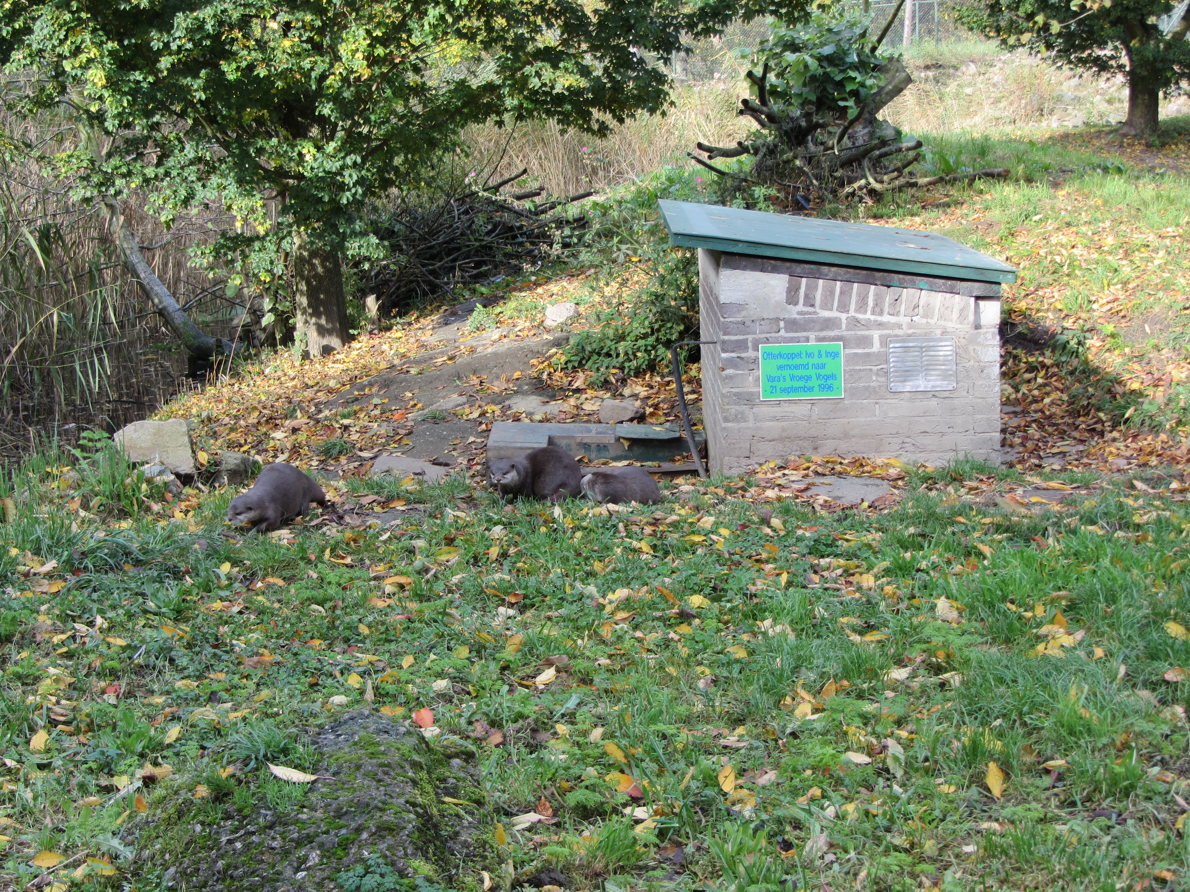 Ipad Marianne 071.JPG